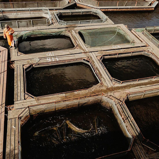 Boutique du Caviar Russe