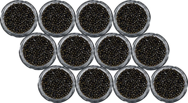 Caviar Béluga 12 bocaux de 1356g Caviar Béluga 12 bocaux de 1356g