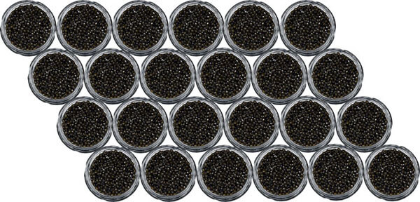 Caviar Béluga 24 bocaux de 2712g Caviar Béluga 24 bocaux de 2712g