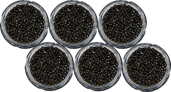 Caviar Béluga 6 bocaux de 678g Caviar Béluga 6 bocaux de 678g
