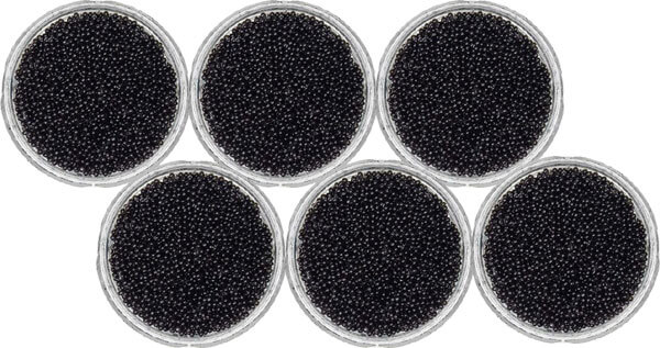 Caviar Osciètre 6 bocaux de 678g Caviar Osciètre 6 bocaux de 678g