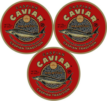 Caviar Sevruga 3 bocaux de 339g Caviar Sevruga 3 bocaux de 339g